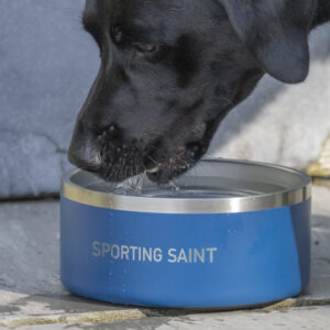 Sporting Saint Dog Bowl - Image 2