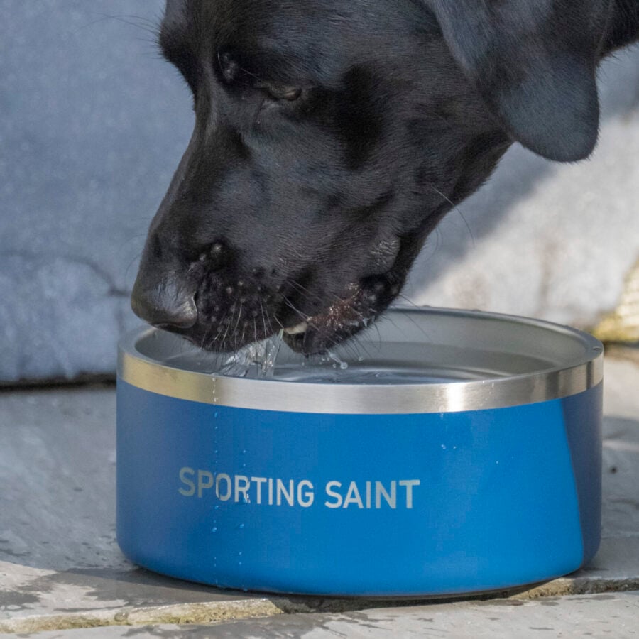 Sporting Saint Dog Bowl