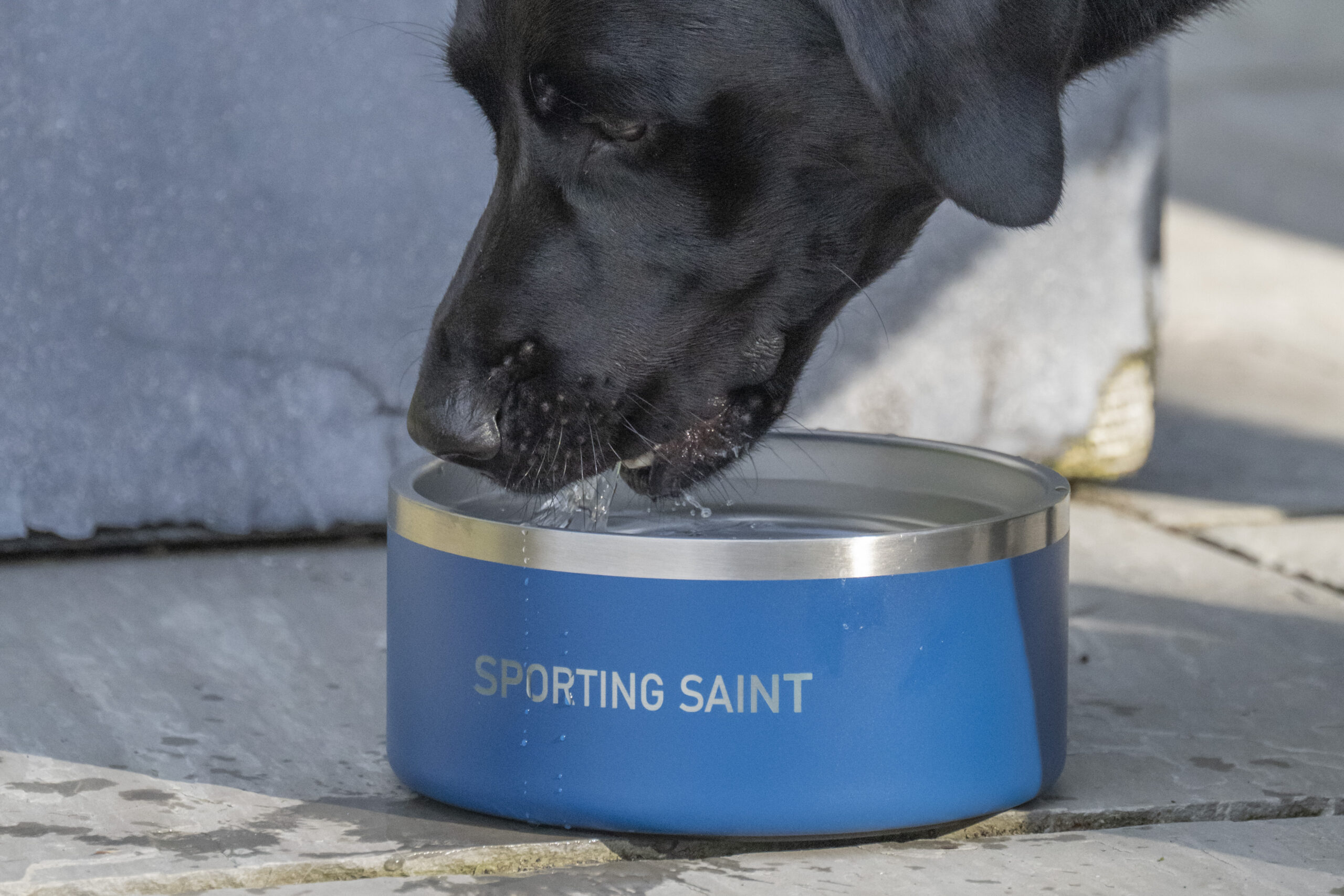 Sporting Saint Dog Bowl - Image 2