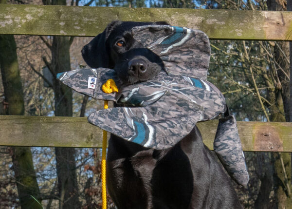 FLIGHT Dead Bird Dummy Mallard