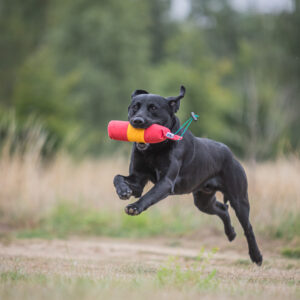 BG True Centre Hold Dummy - 1lb - Image 3