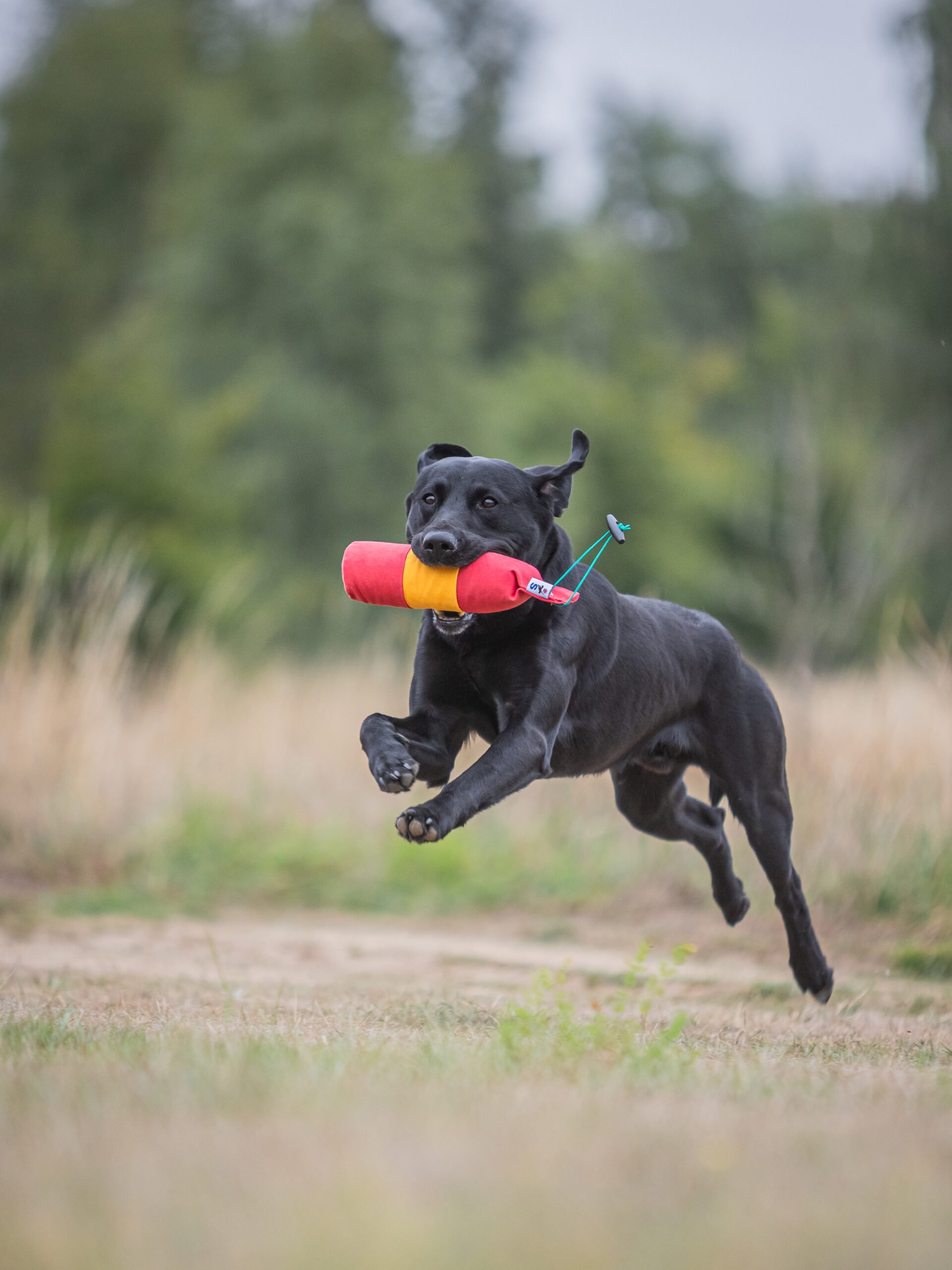 BG True Centre Hold Dummy - 1lb - Image 3