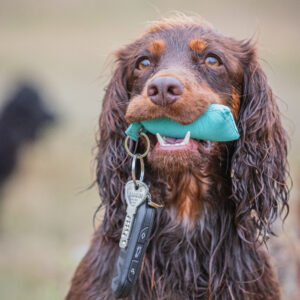 Key Ring Dummy - Image 2