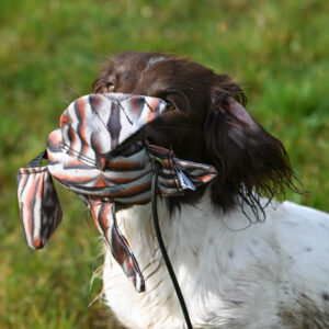 FLIGHT Partridge Mini Dead Bird Dummy - Image 2