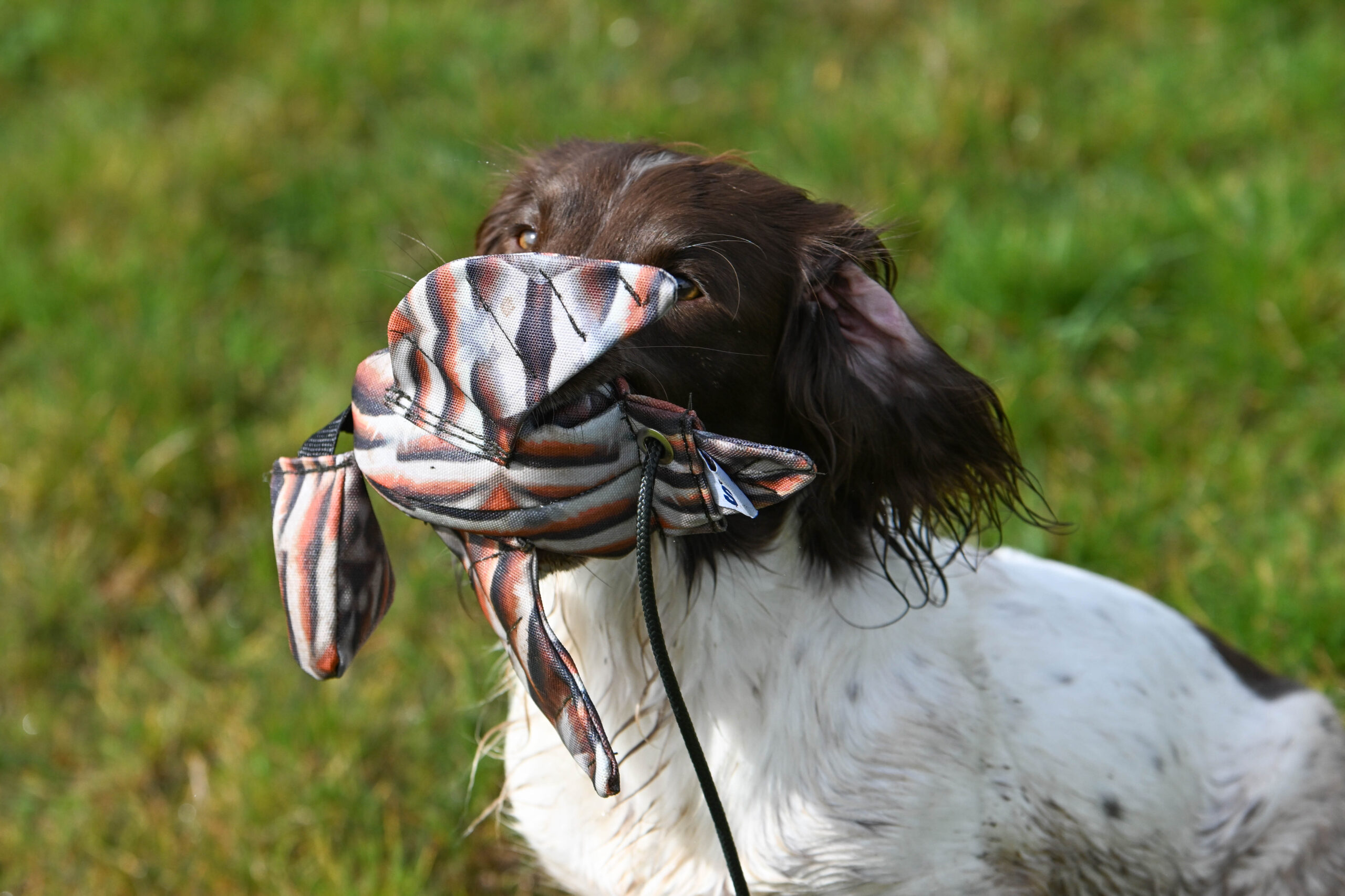 FLIGHT Partridge Mini Dead Bird Dummy - Image 2