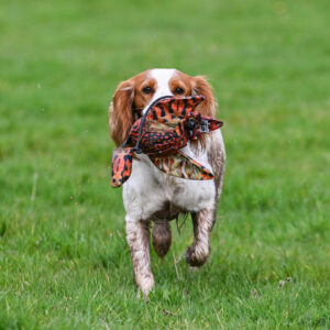 FLIGHT Cock Pheasant Mini Dead Bird Dummy - Image 3