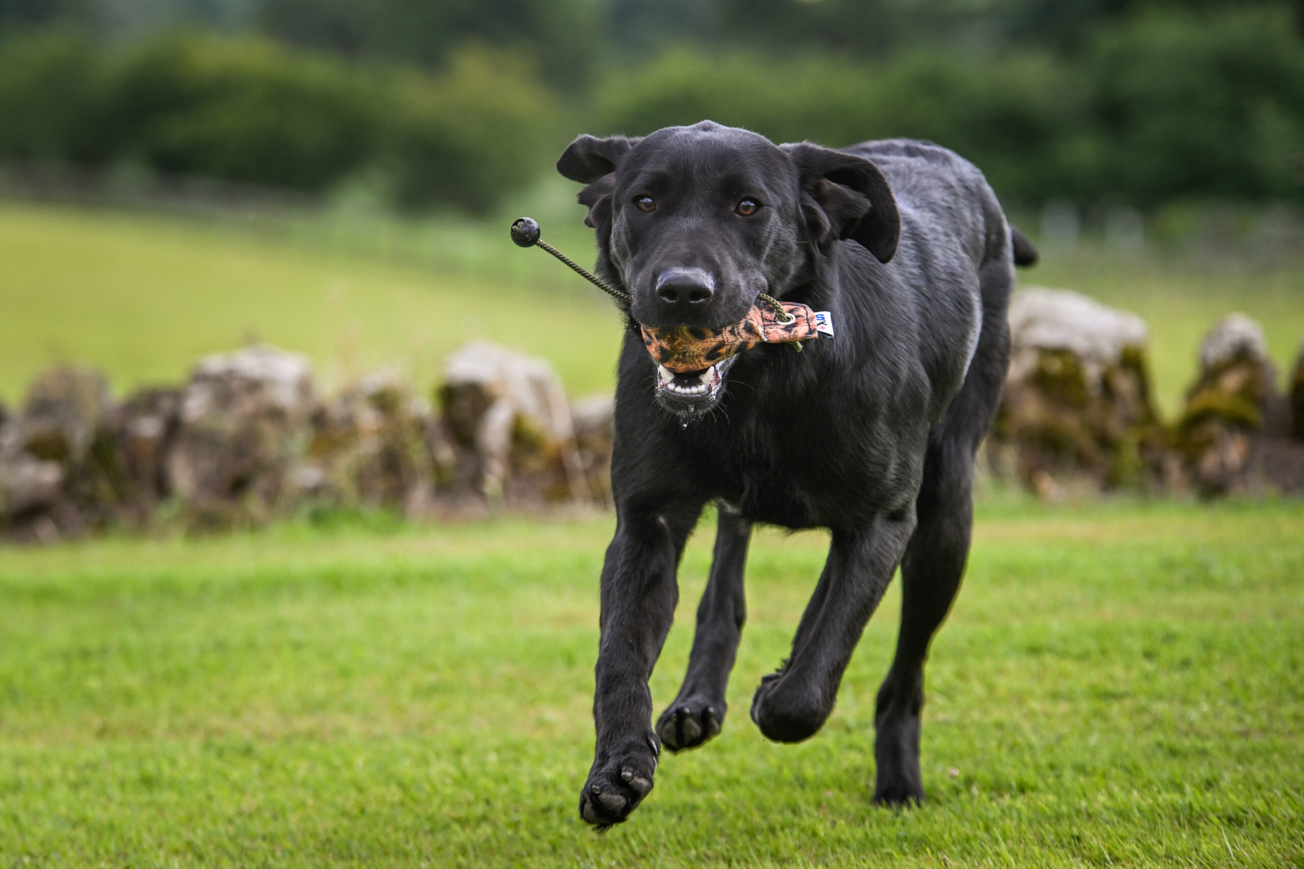 FLIGHT Hen Pheasant Dummy Ball - Image 3