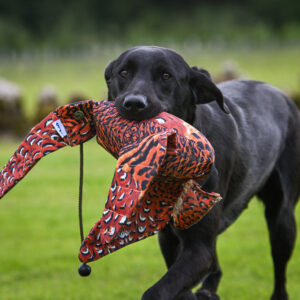 FLIGHT Cock Pheasant Dead Bird Dummy - Image 2