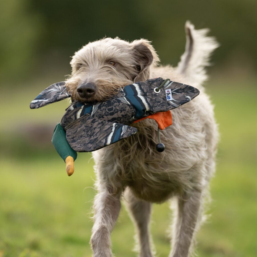 FLIGHT Dead Bird Dummy Mallard