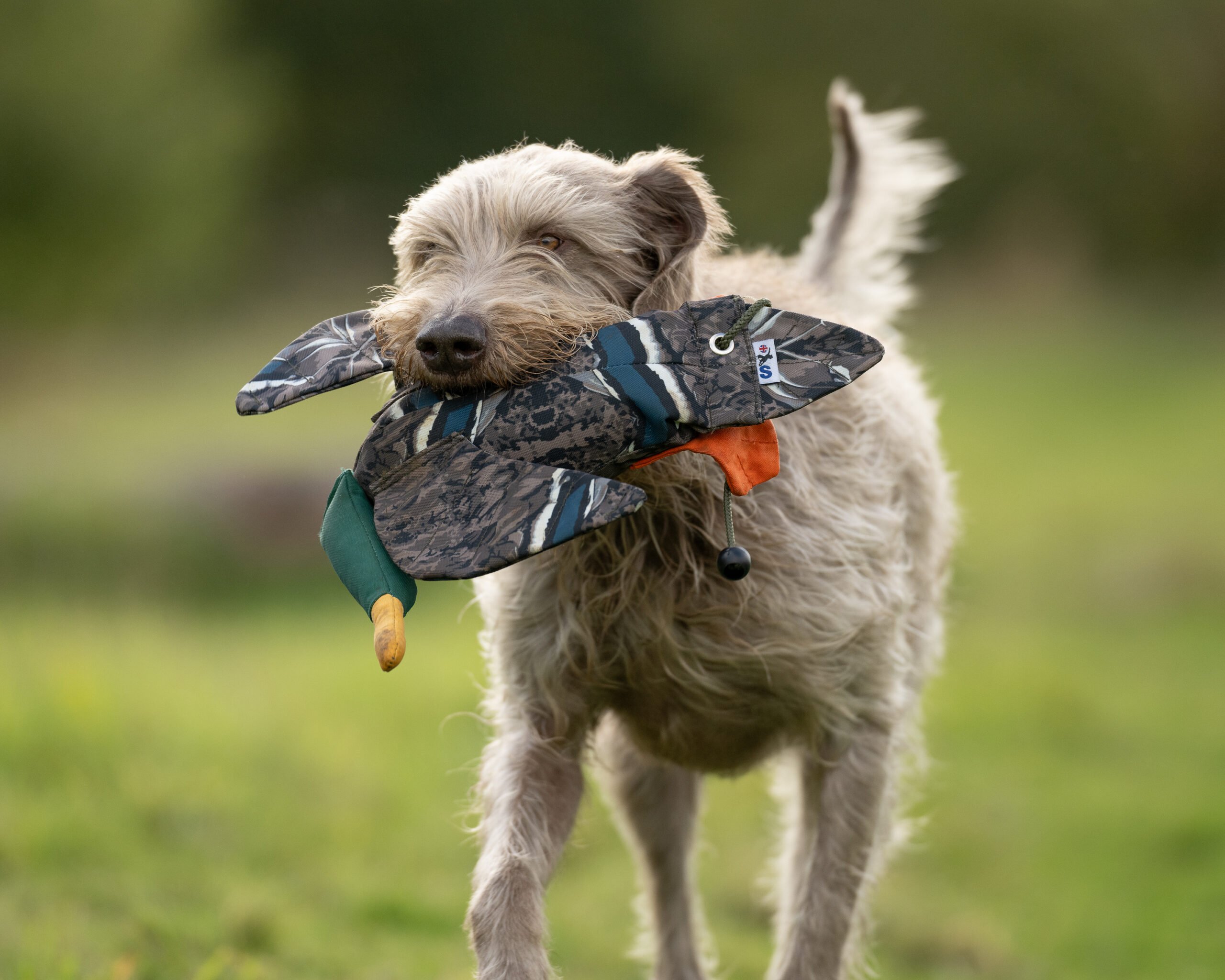 FLIGHT Dead Bird Dummy Mallard - Image 2
