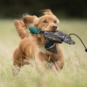 FLIGHT Mallard Mini Dead Bird Dummy - Image 3