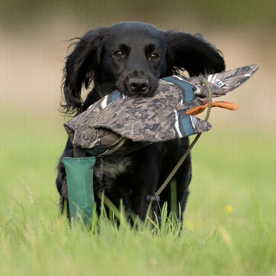 FLIGHT Dead Bird Dummy Mallard