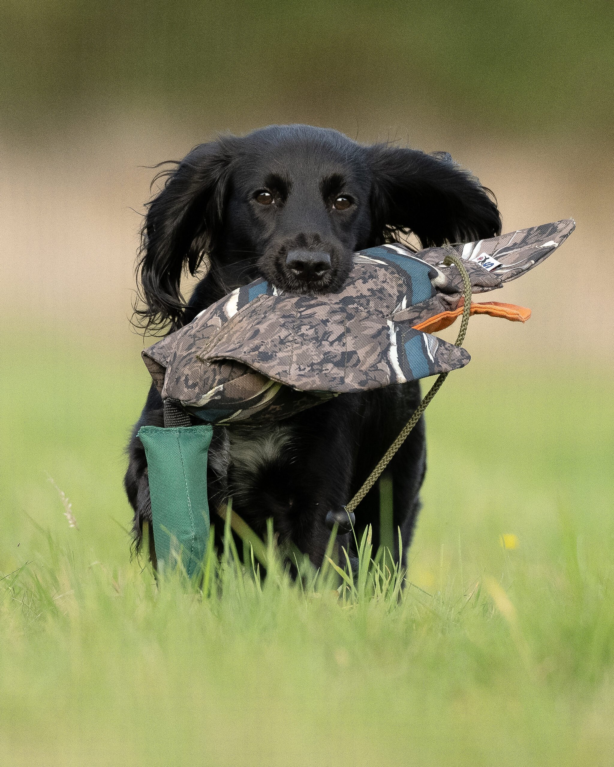FLIGHT Dead Bird Dummy Mallard - Image 3