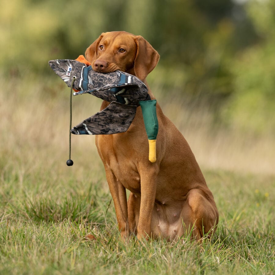 FLIGHT Dead Bird Dummy Mallard