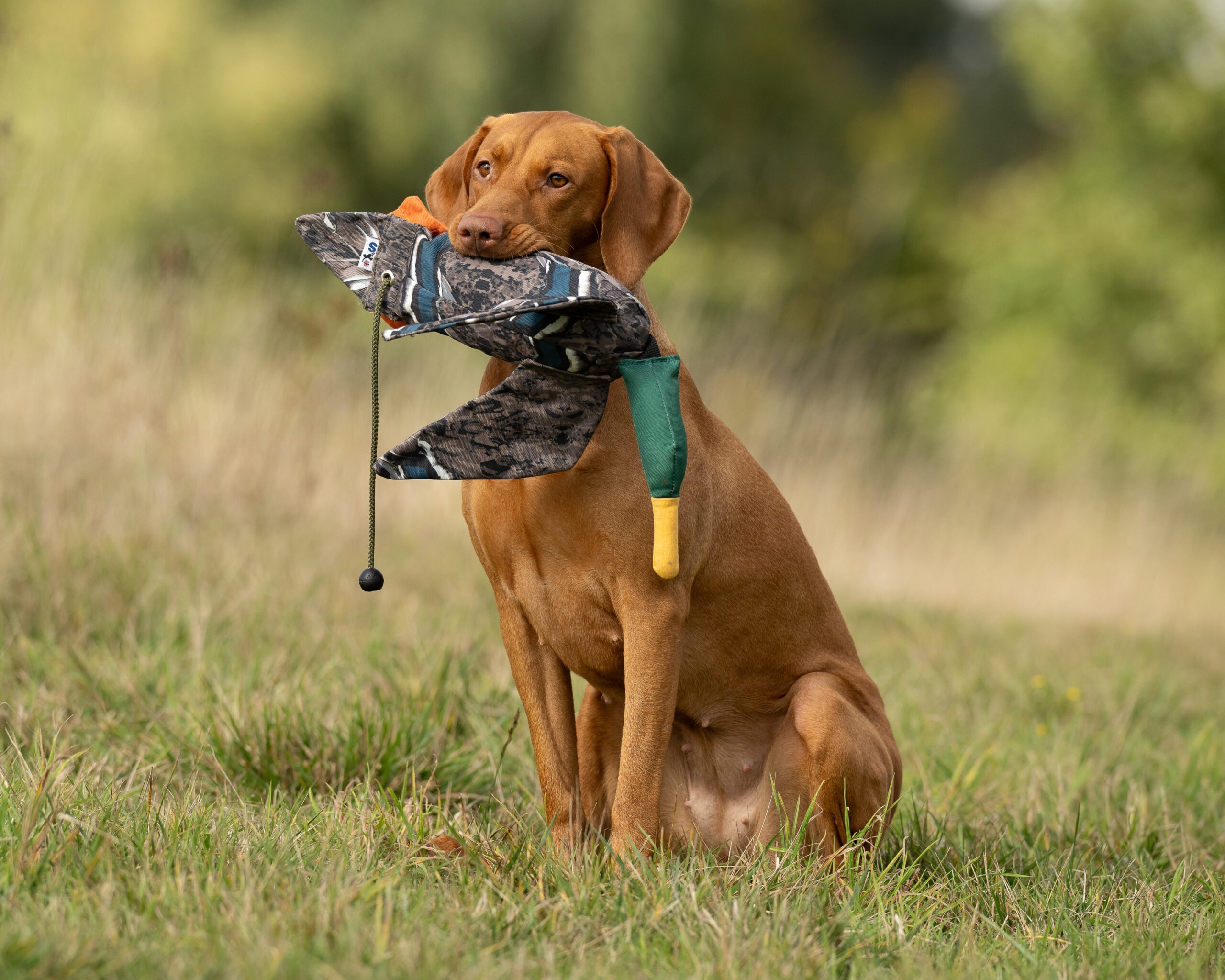 FLIGHT Dead Bird Dummy Mallard - Image 4
