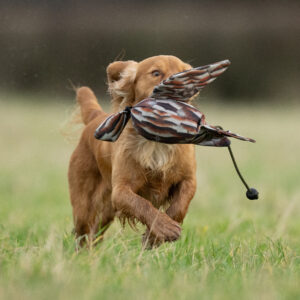 FLIGHT Dead Bird Dummy Partridge - Image 3