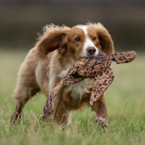 FLIGHT Hen Pheasant Dead Bird Dummy - Image 3
