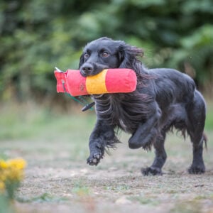 BG True Centre Hold Dummy - 1lb - Image 2