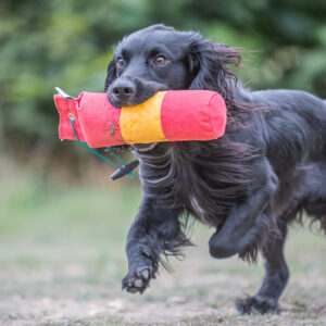 BG True Centre Hold Dummy - 1lb - Image 2