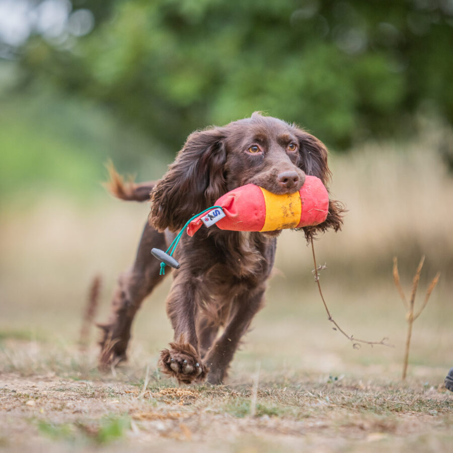 BG True Centre Hold Dummy - 1/2lb