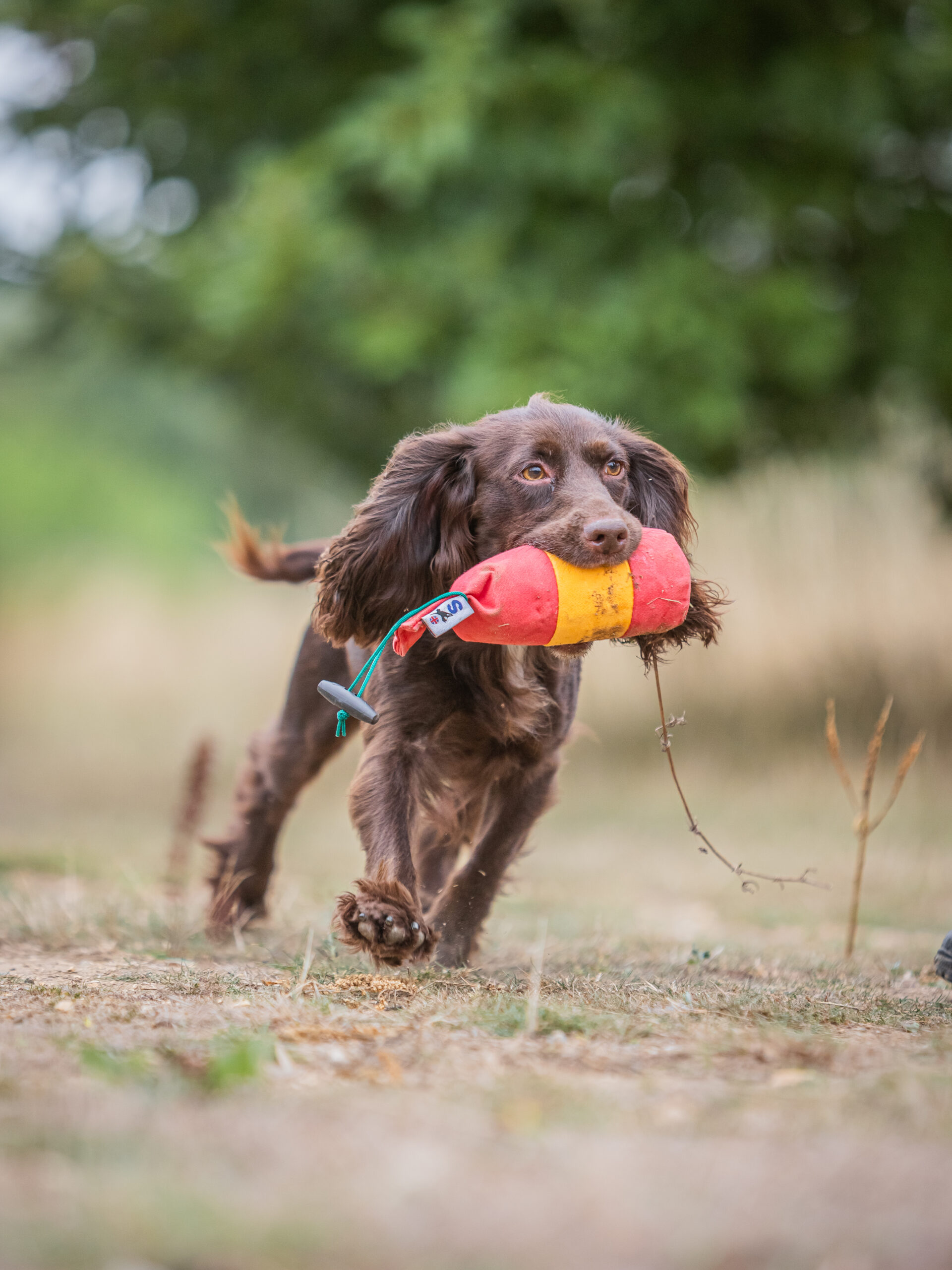 BG True Centre Hold Dummy - 1/2lb - Image 2