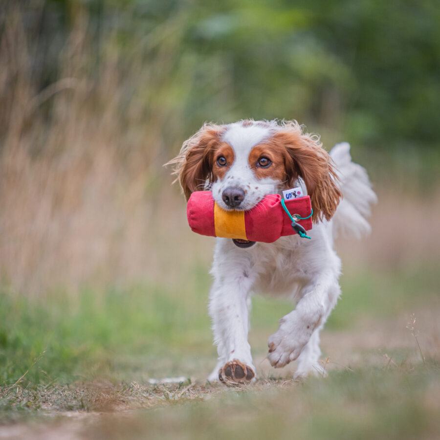 BG True Centre Hold Dummy - 1/2lb