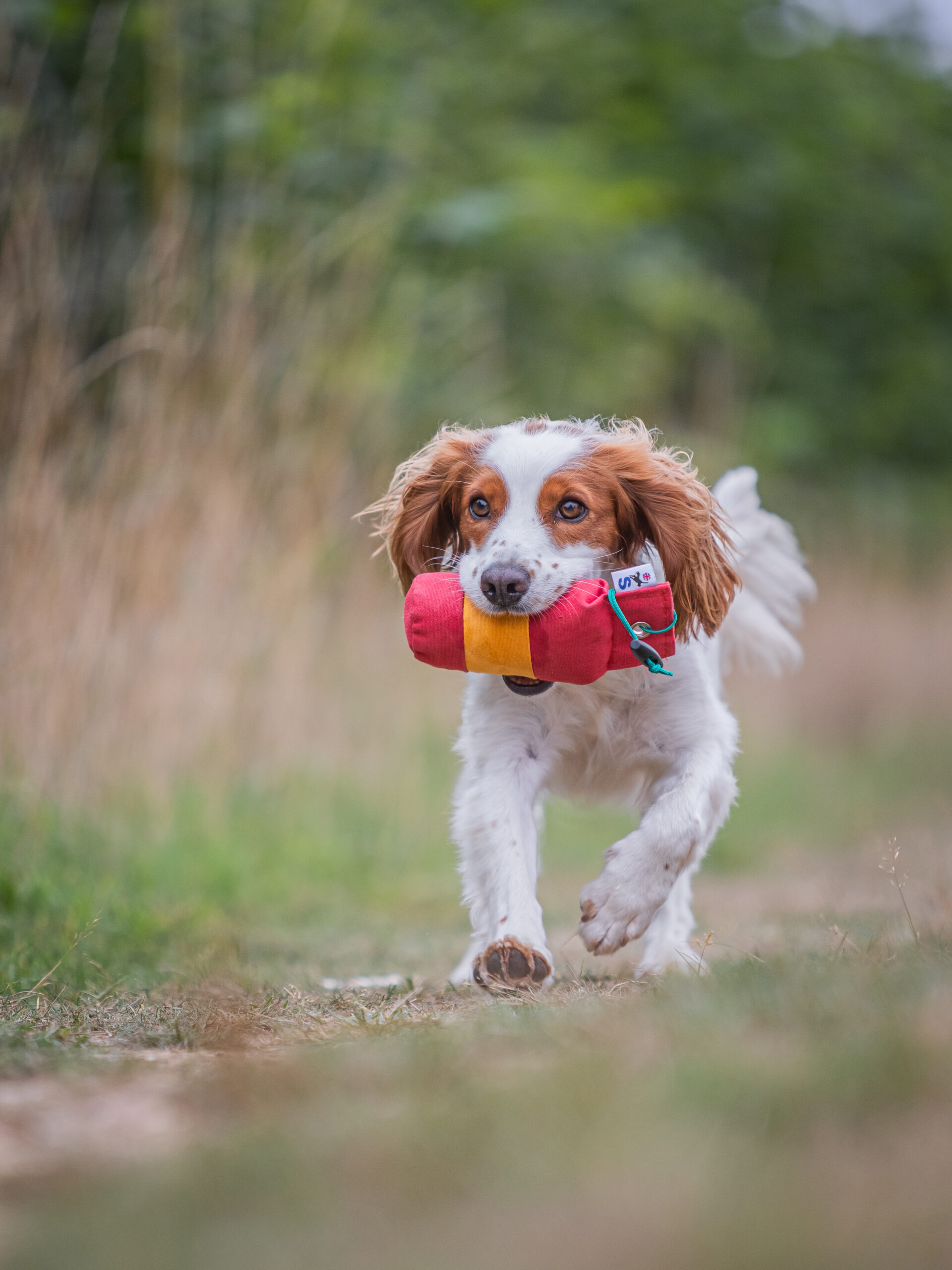 BG True Centre Hold Dummy - 1/2lb - Image 3