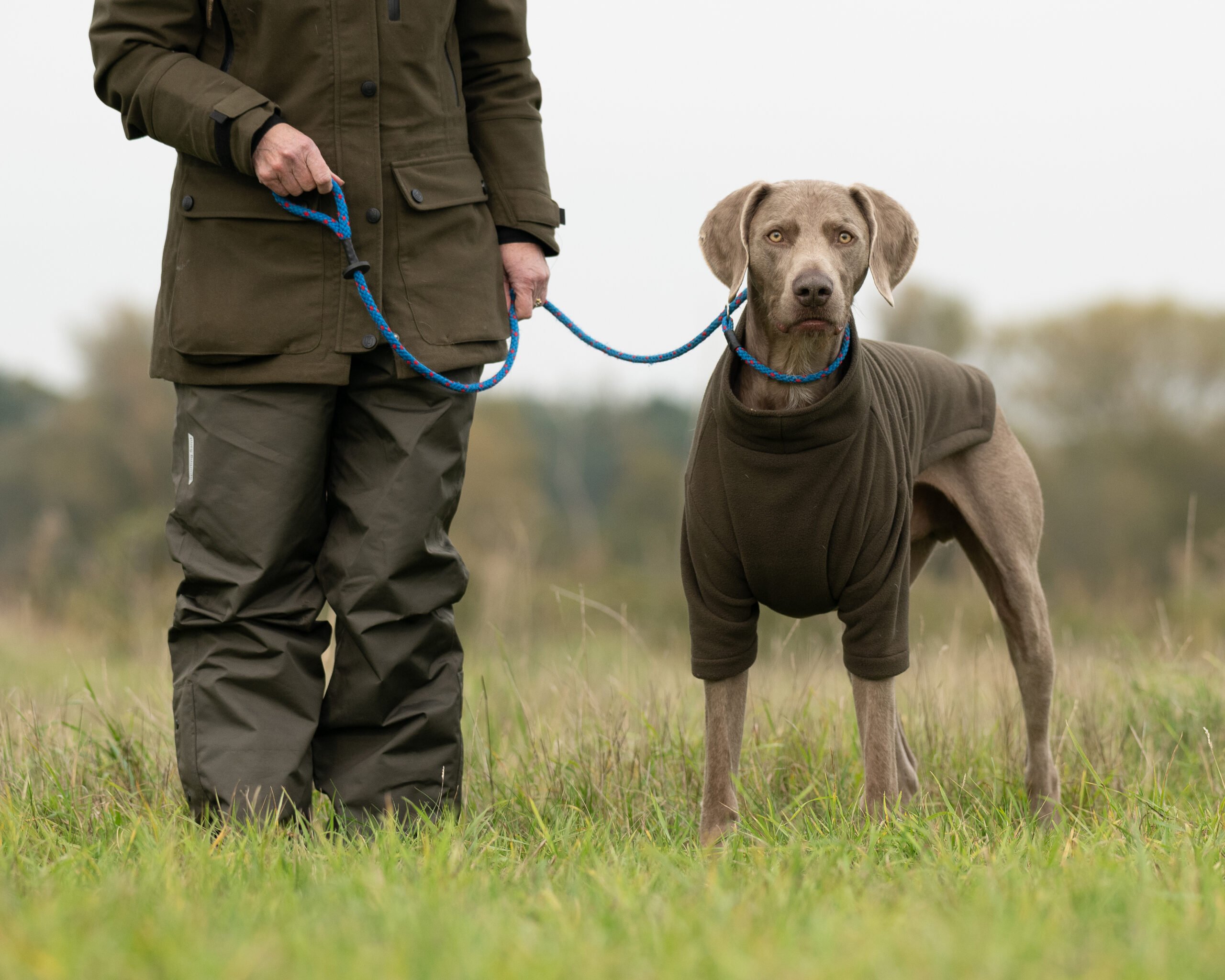 Over Trousers - Waterproof - Ladies - Image 4