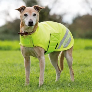 The Equiflector Dog Coat - Waterproof & Insulated - Image 4