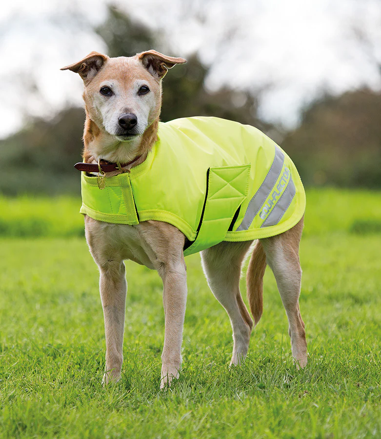The Equiflector Dog Coat - Waterproof & Insulated