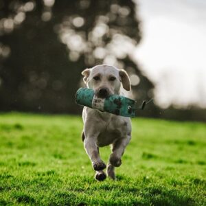 Target Dummy - 1lb - Image 3