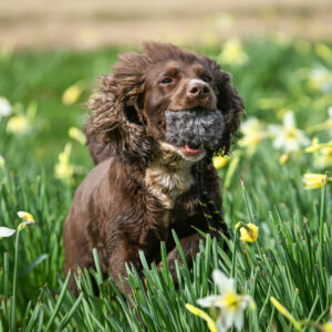 BG Scent Rabbit Ball - Image 3