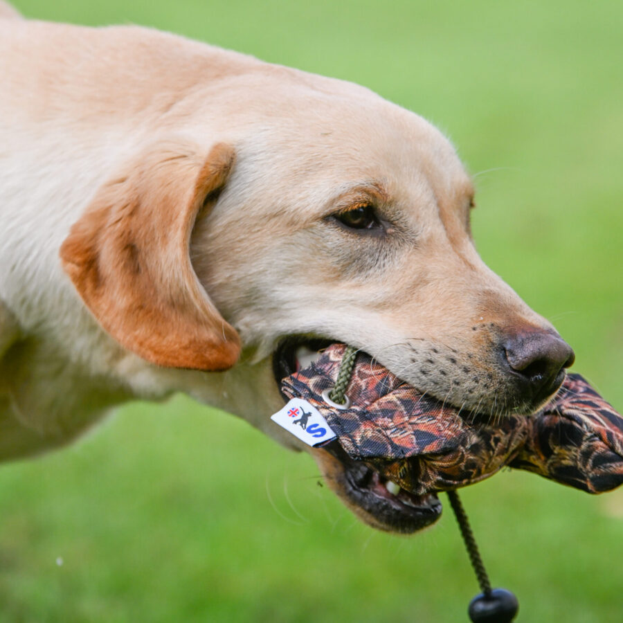 Bird Dummy Mini Pup Hen