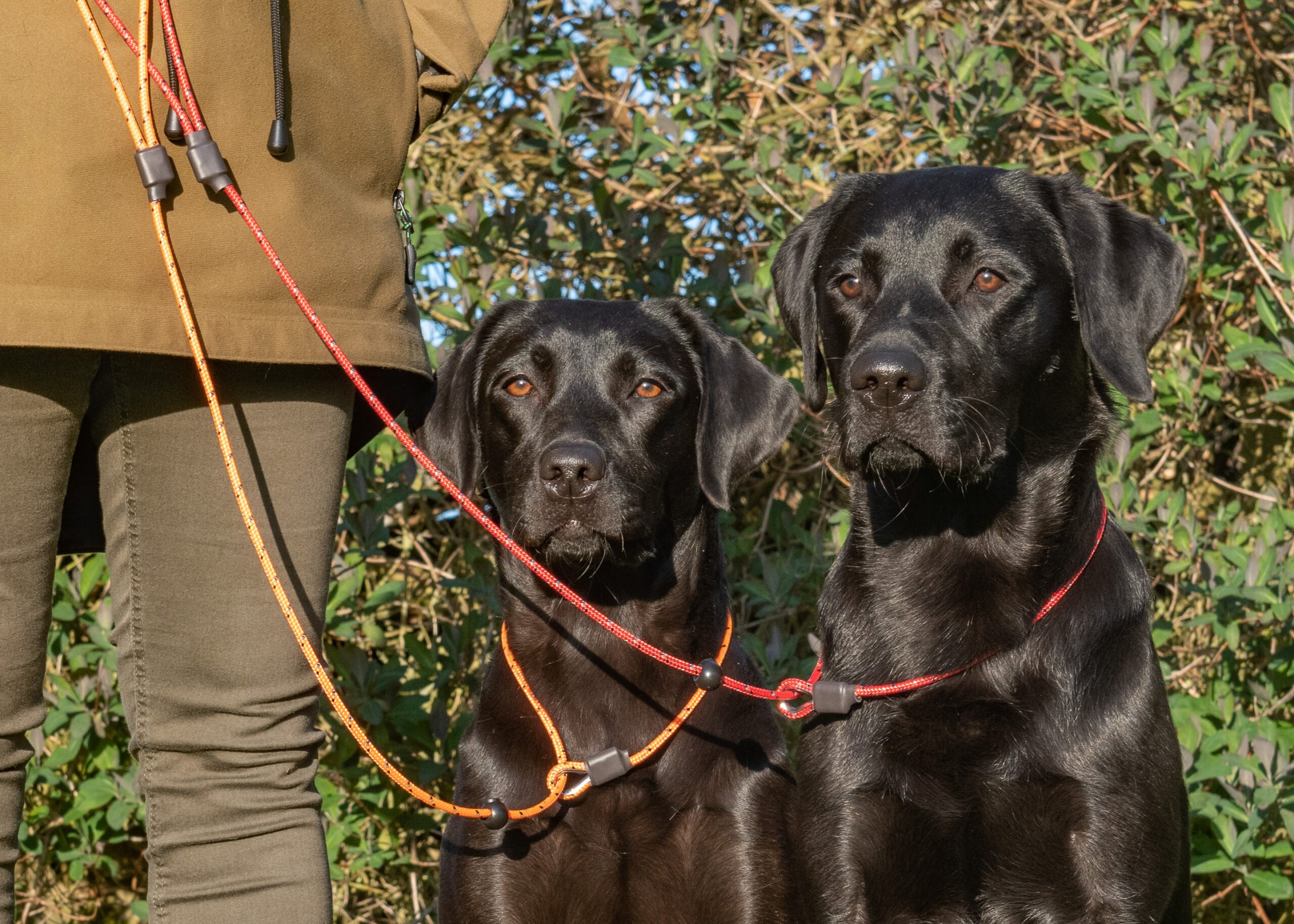 Field Trial PRO Collection Thumbnail