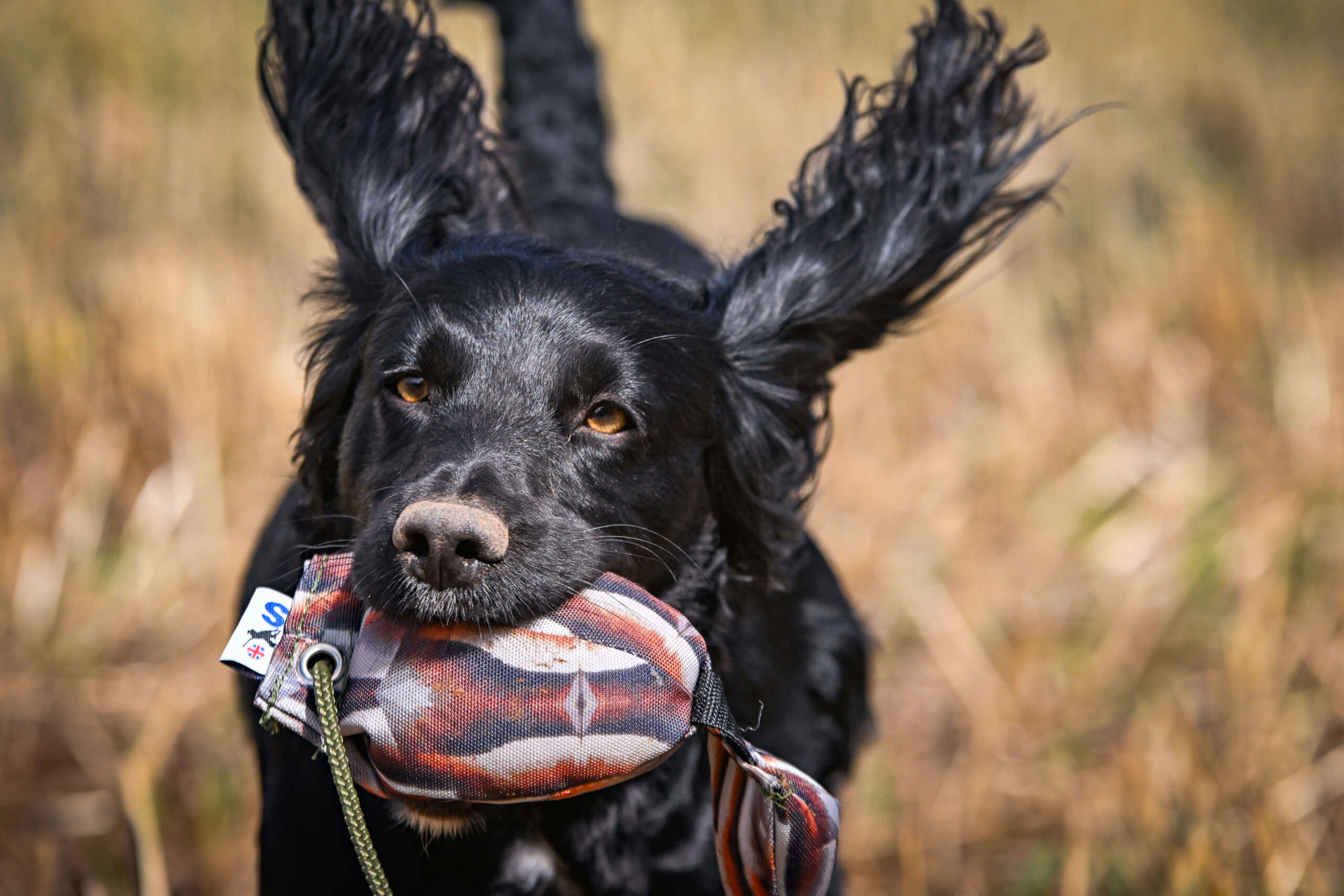 Bird Dummy Mini Pup Partridge - Image 2