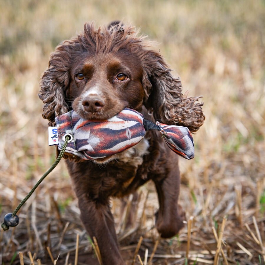 Bird Dummy Mini Pup Partridge