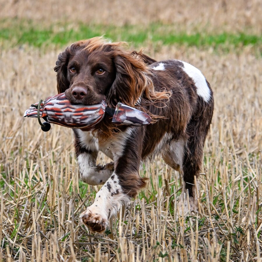 Bird Dummy Partridge - M
