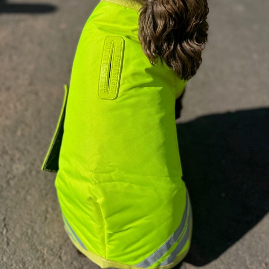 The Equiflector Dog Coat - Waterproof & Insulated