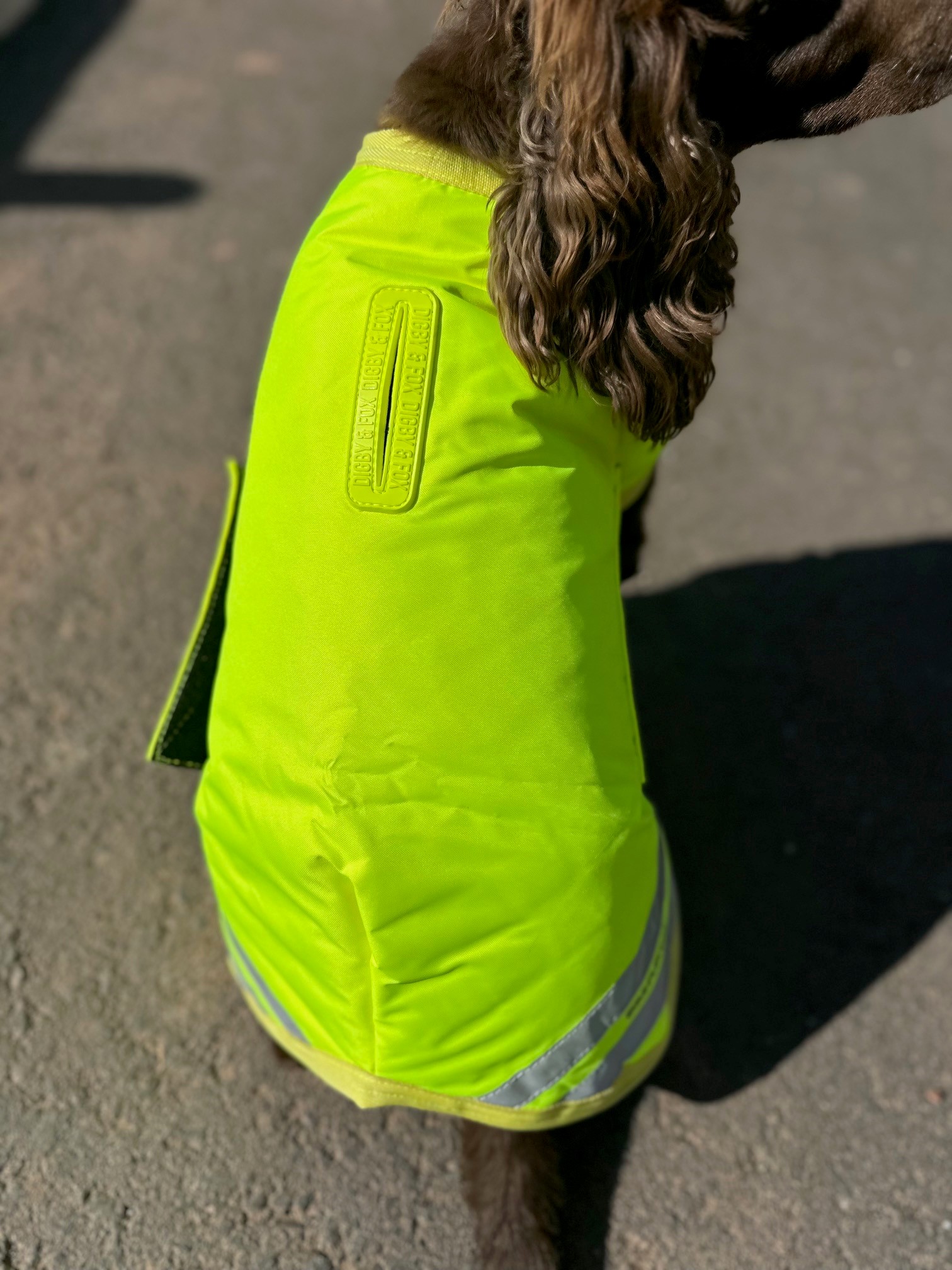 The Equiflector Dog Coat - Waterproof & Insulated - Image 3