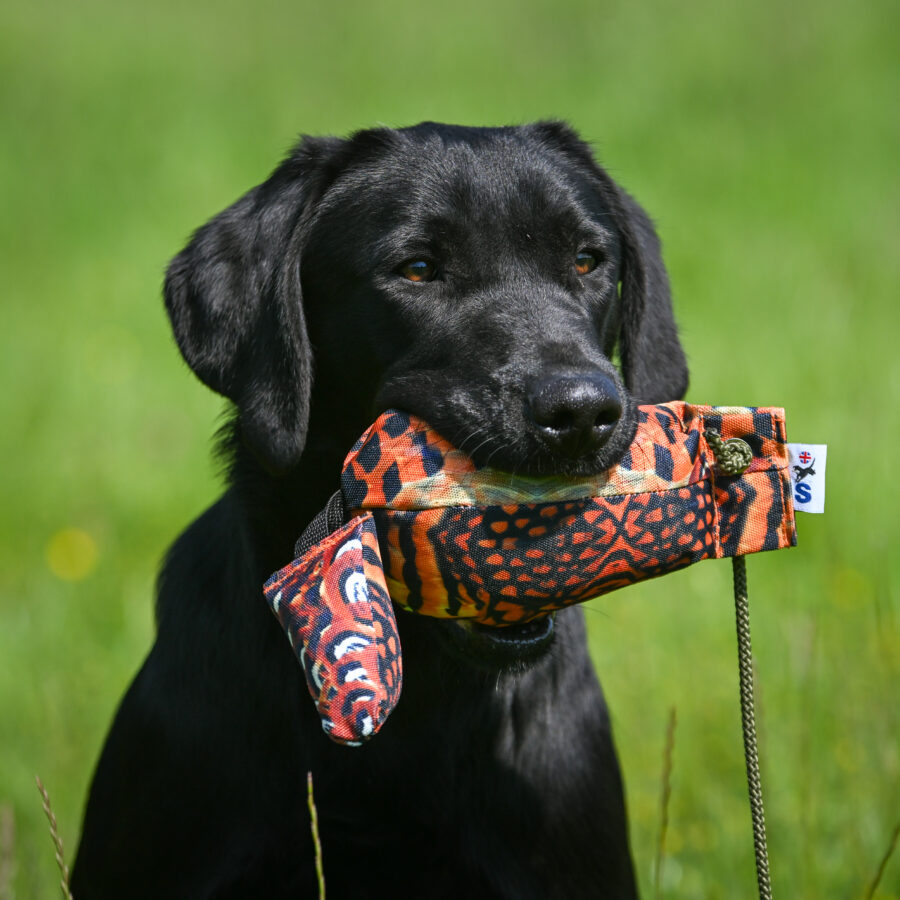 Bird Dummy Cock Pheasant - M