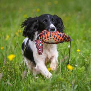 Bird Dummy Cock Pheasant - M - Image 3