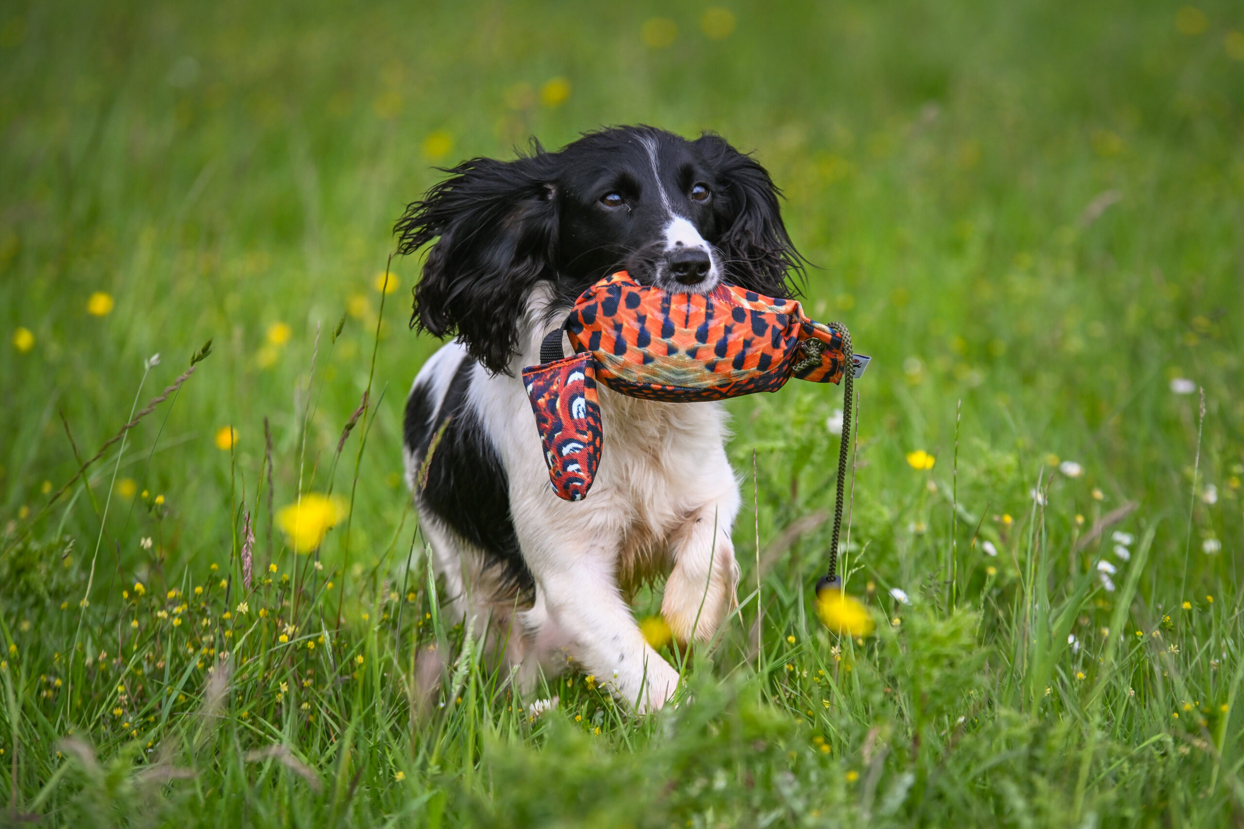 Bird Dummy Cock Pheasant - M - Image 3