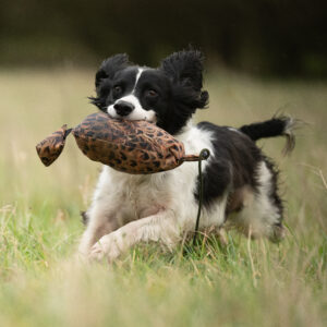 Bird Dummy Hen - L - Image 3