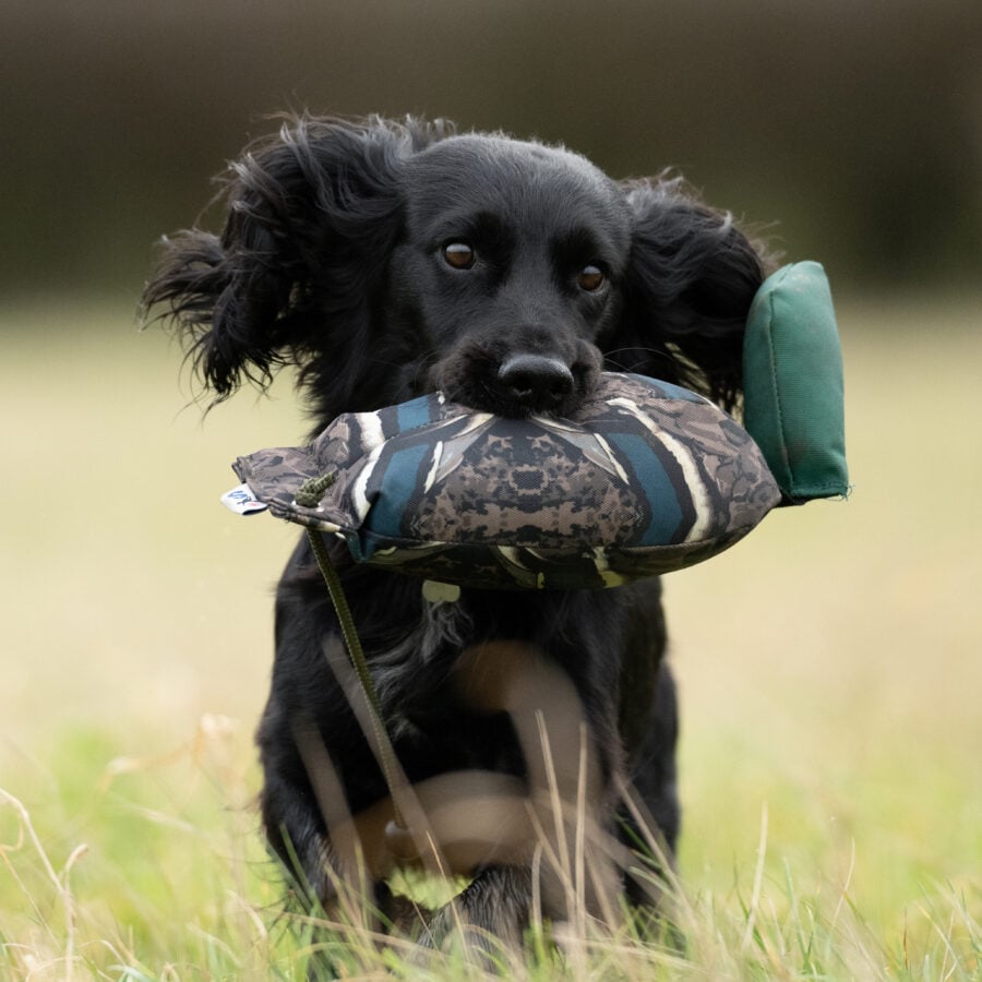 Bird Dummy Mallard - L