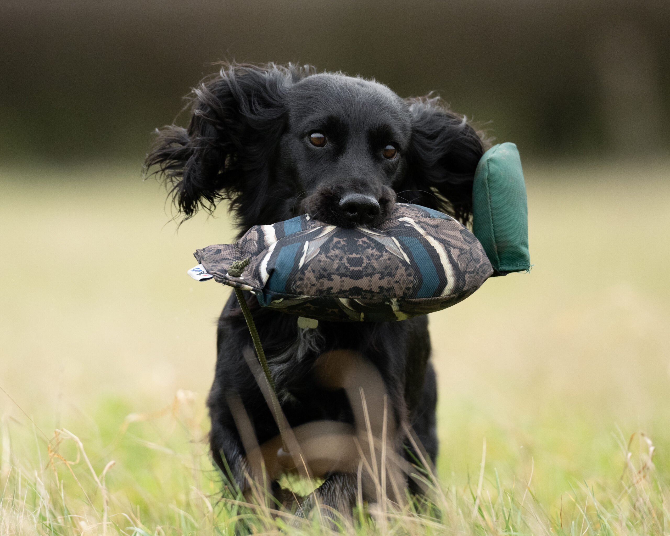 Bird Dummy Mallard - L - Image 3