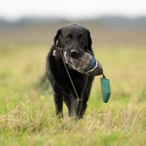 Bird Dummy Mallard - L - Image 4