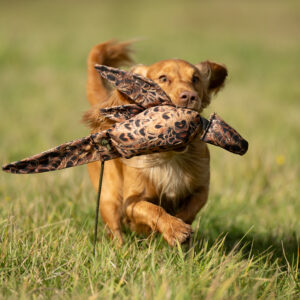 LITE Dead Bird - Hen Pheasant - Image 2