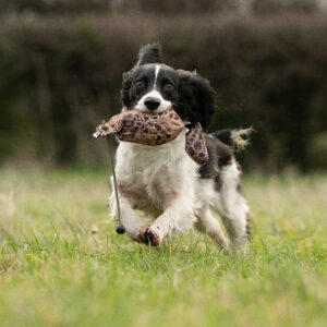 Bird Dummy Hen - M - Image 3