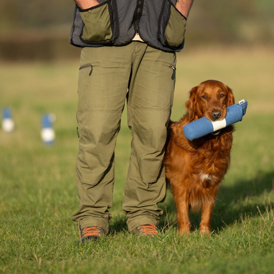 Target Line Dummy Range