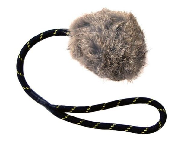 BG Distance Rabbit Ball